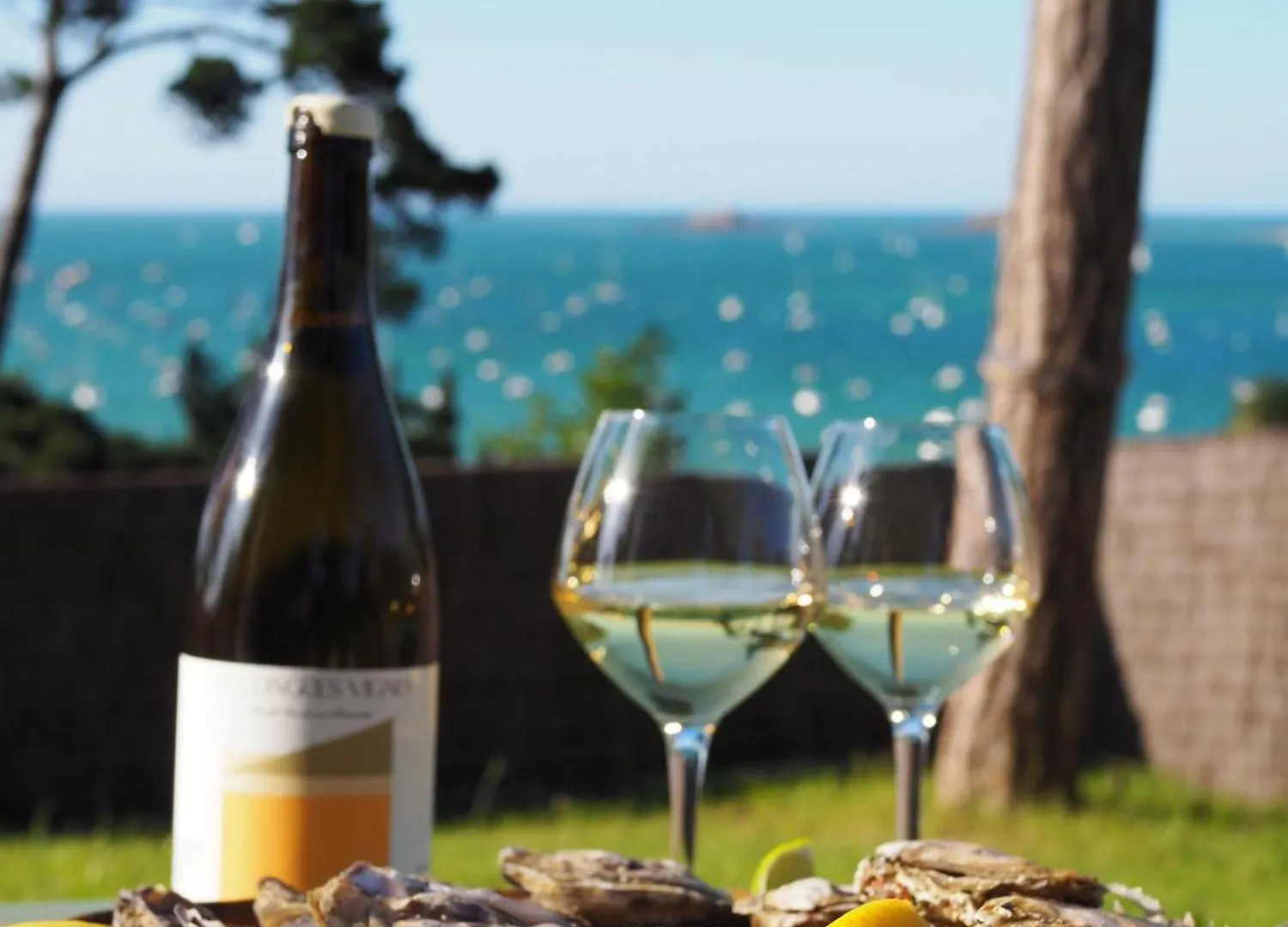 Bed & Breakfast Villa Haute Guais, Maison Et Table D'Hotes Vue Mer Dinard